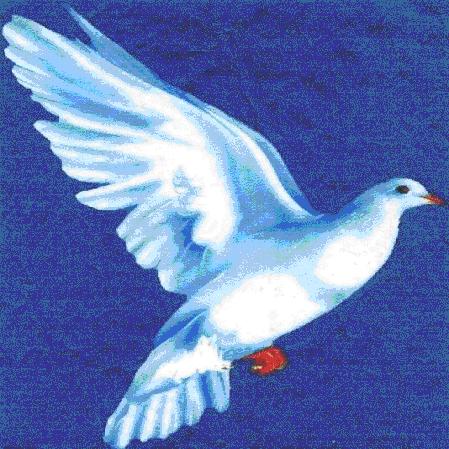 Par la forces de la colombe